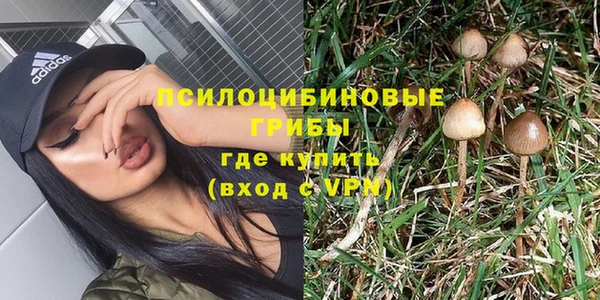 прущая мука Абаза