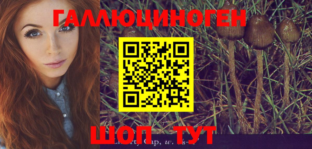 Псилоцибиновые грибы ЛСД  Алатырь 