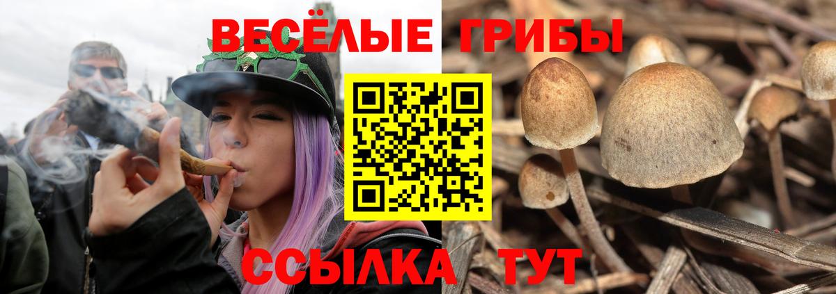 Псилоцибиновые грибы GOLDEN TEACHER Алатырь