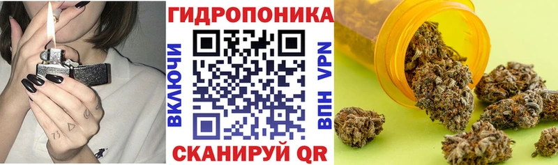 Купить где  Алатырь  Каннабис индика 